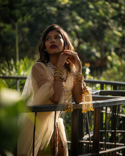 Subtle Bold multicoloured lehenga